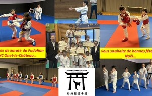Bonnes Fêtes de Noël par l'école de karaté
