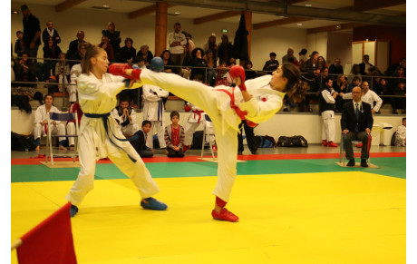 Championnat Départemental Katas et Challenge Conseil Départemental Aveyron Kumite 2018/2019-